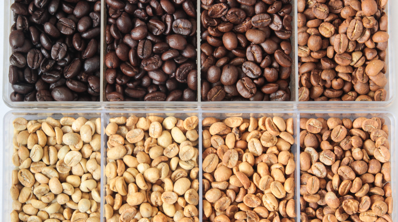 Coffee Roast Levels Explained: Light, Medium & Dark